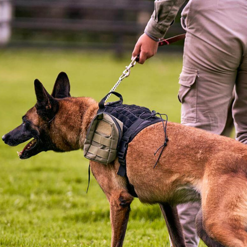 K9PreventionInstitute.us.com Research Note | Updated May 2026 K9PreventionInstitute.us.com Research Note | Updated May 2026