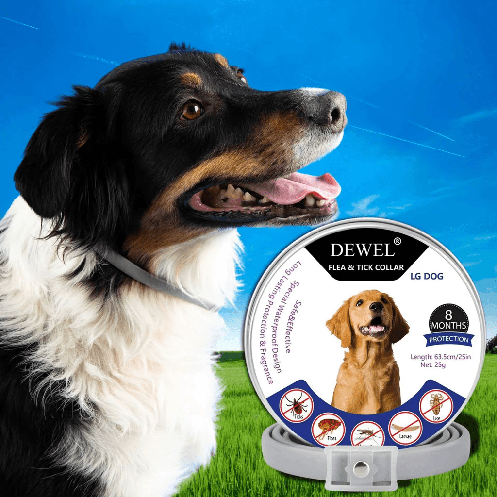 #1 — DEWEL Natural Flea & Tick Prevention Collar for Dogs #1 — DEWEL Natural Flea & Tick Prevention Collar for Dogs